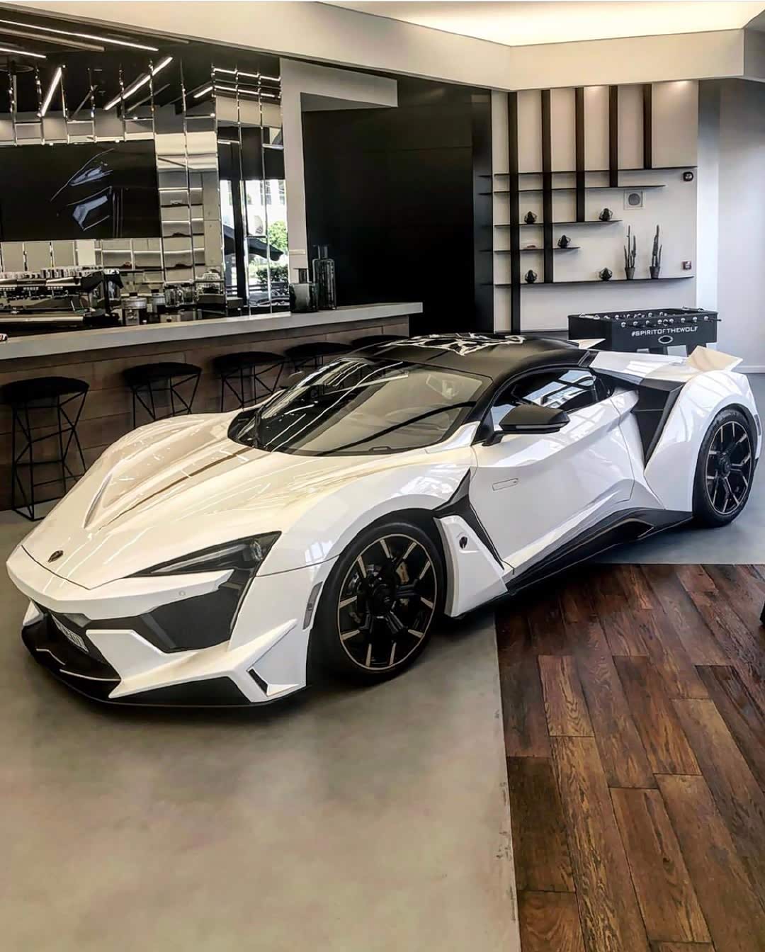 迪拜狼王颜值超高的组合