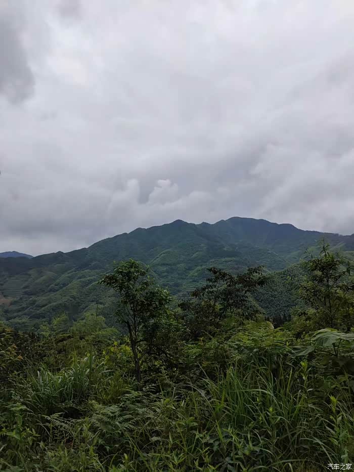 开车去大山放风去了