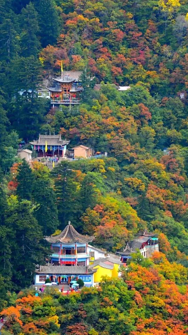 國家級自然保護區,興隆山,隴右第一名山