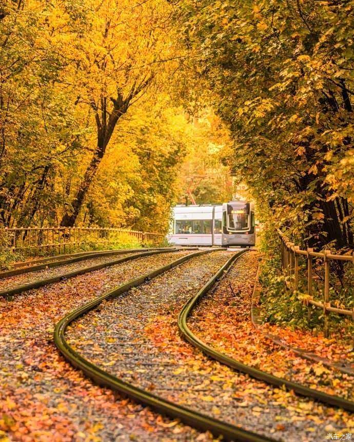 秋天,清凉的季节,轻轻的微风吹来,十分凉爽.