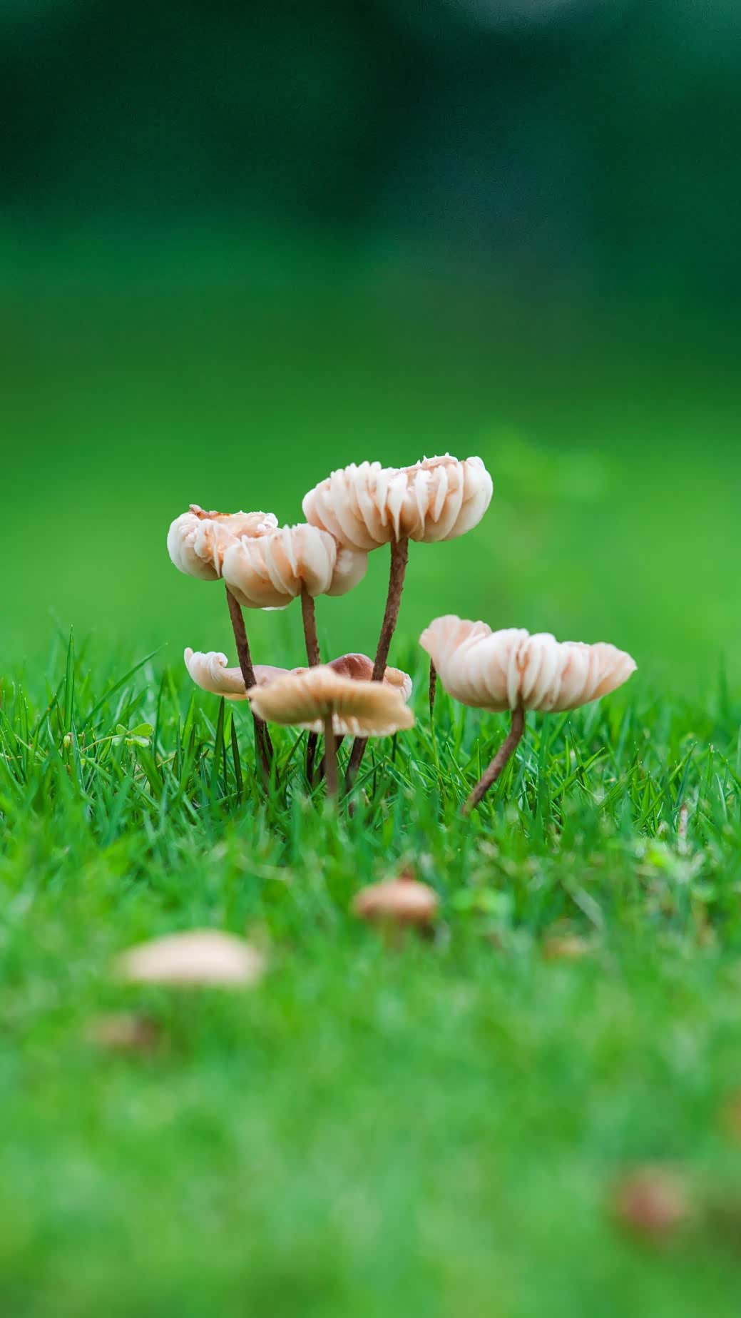 生活中从来不缺少美,我们要有一颗善于发现美的心灵.