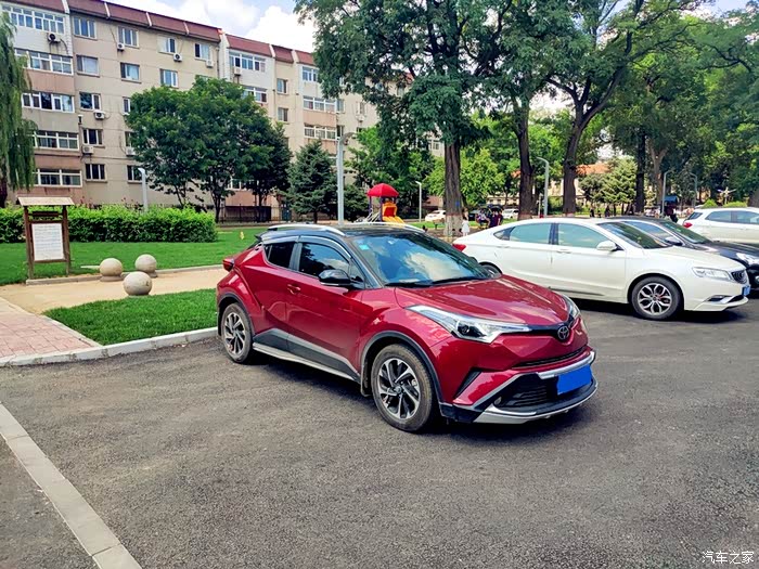 绿茵树下好乘凉给力的奕泽红黑小钢炮