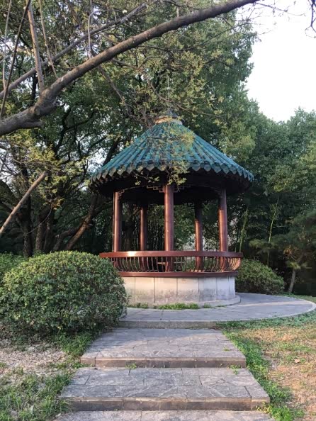 周末午后游苍柏园