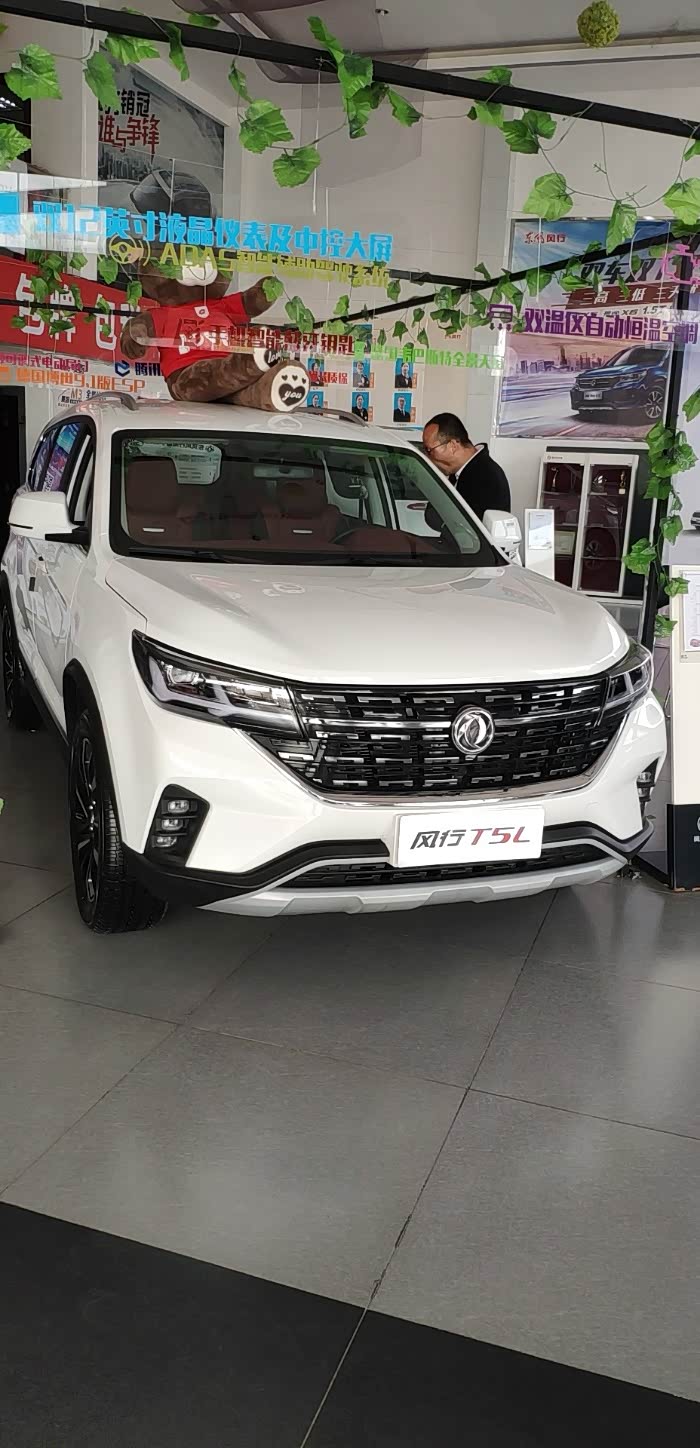 欢聚美一程带同事去定车东风风行t5l