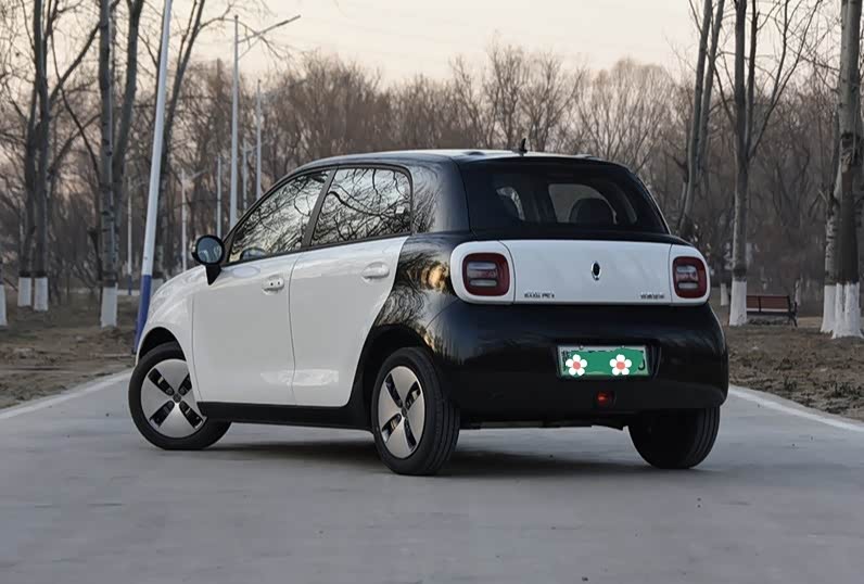 小了白了兔白了又了白