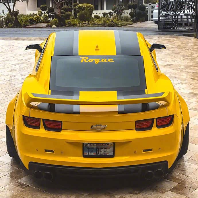 胖胖的黄色大黄蜂,帅呆了.