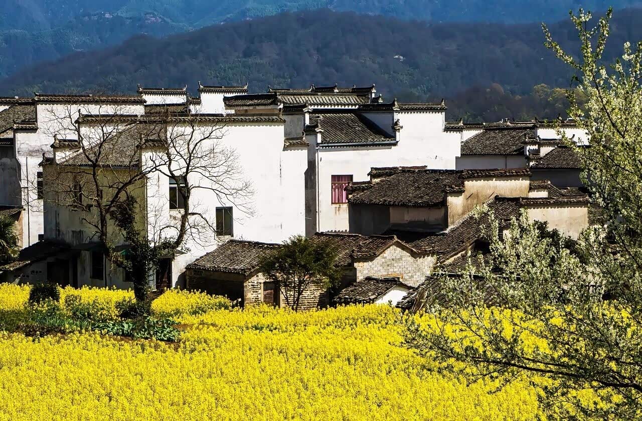 徽州的古镇春天的别样美景