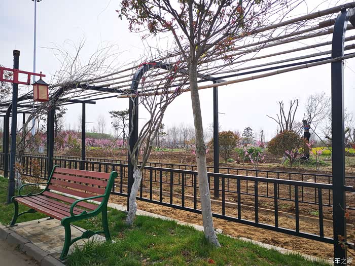 老少通吃的魏派vv6绿馨生态园里最靓的仔