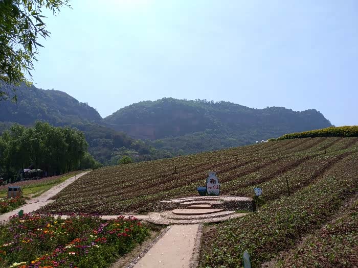 来来来花天酒地泸州花田酒地打望