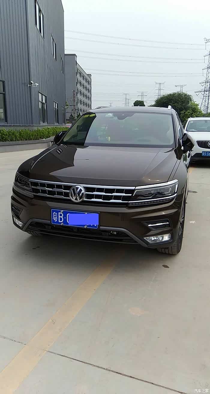 途观岩壁棕跟峻岭棕