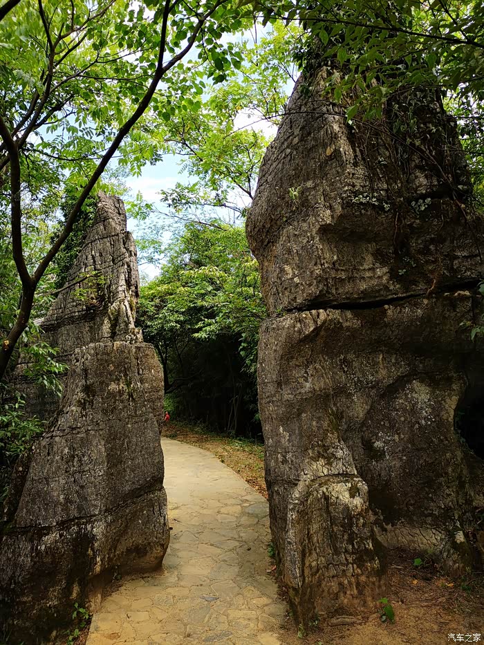 山王坪生态石林