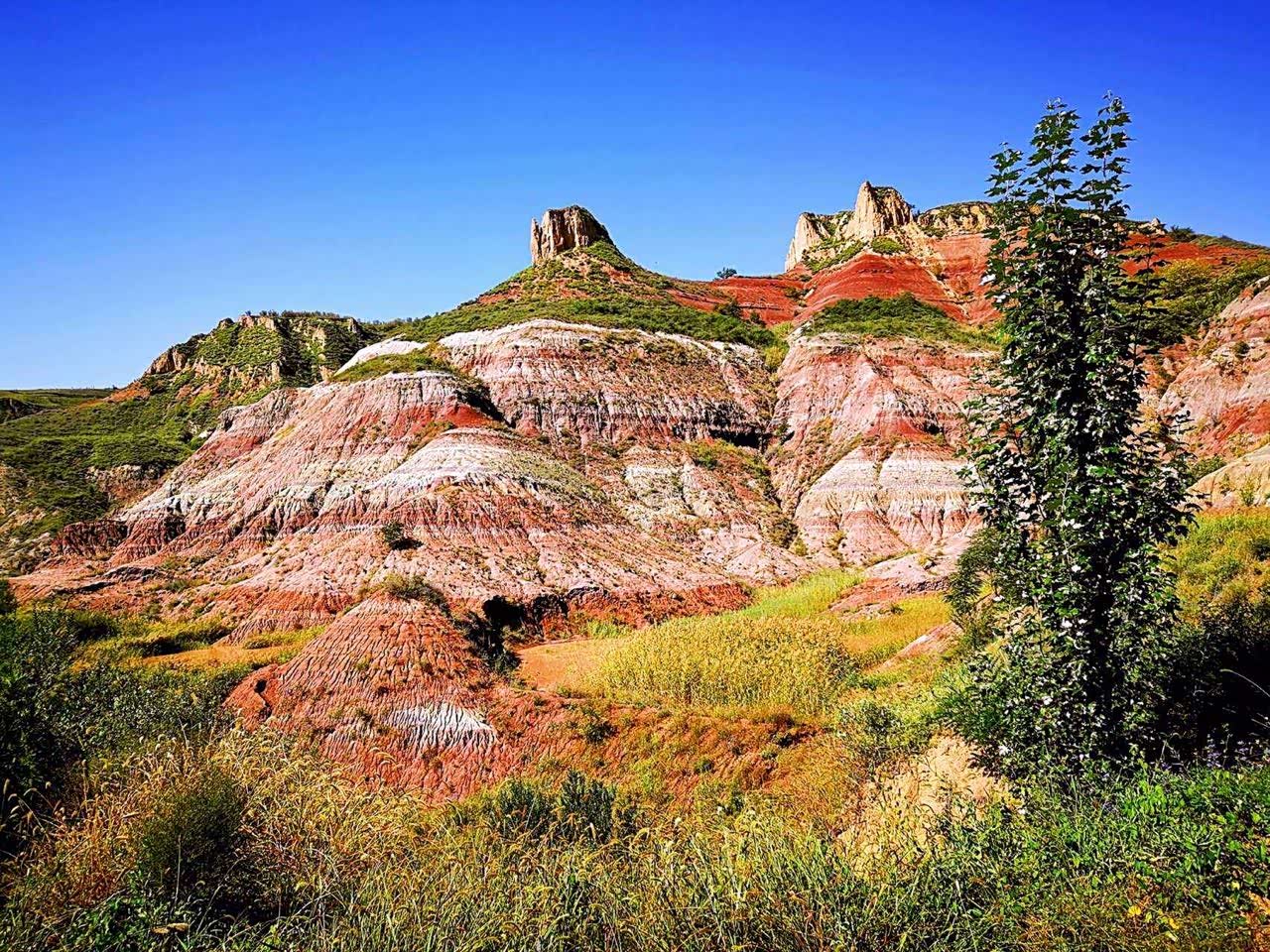 莲花辿的景观在沿黄公路沿途所有自然风光里边,是独一无二的.