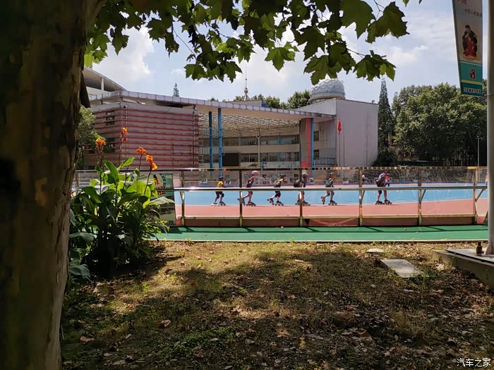 雨季过去小狮子洗澡啦