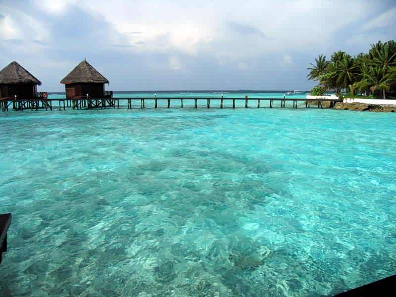 马尔代夫靓丽海滩风景谁都是绿色的