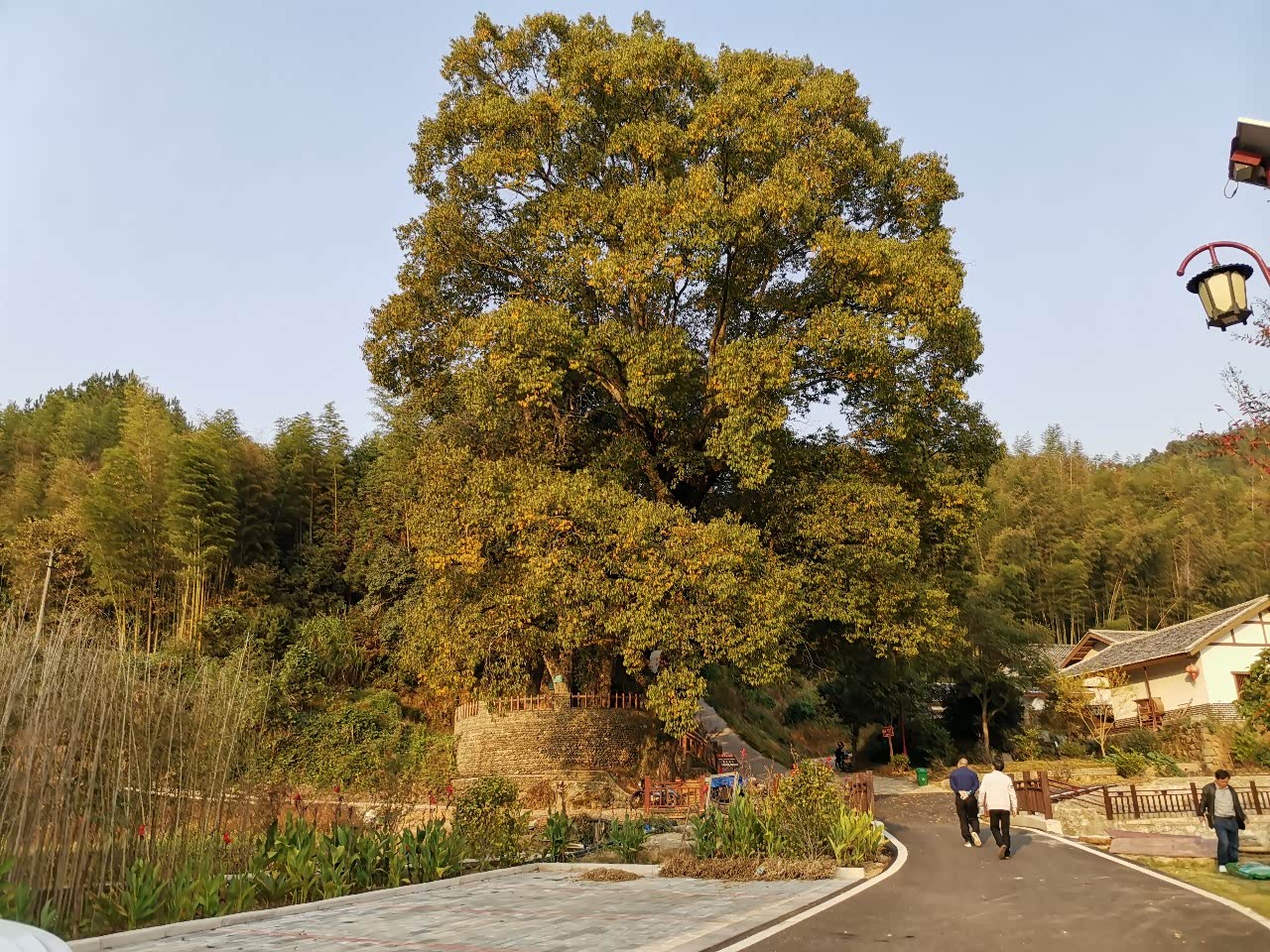 坪田村的社会主义新农村