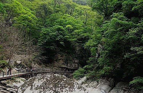 太平峪中的河流为太平河,清澈见底!