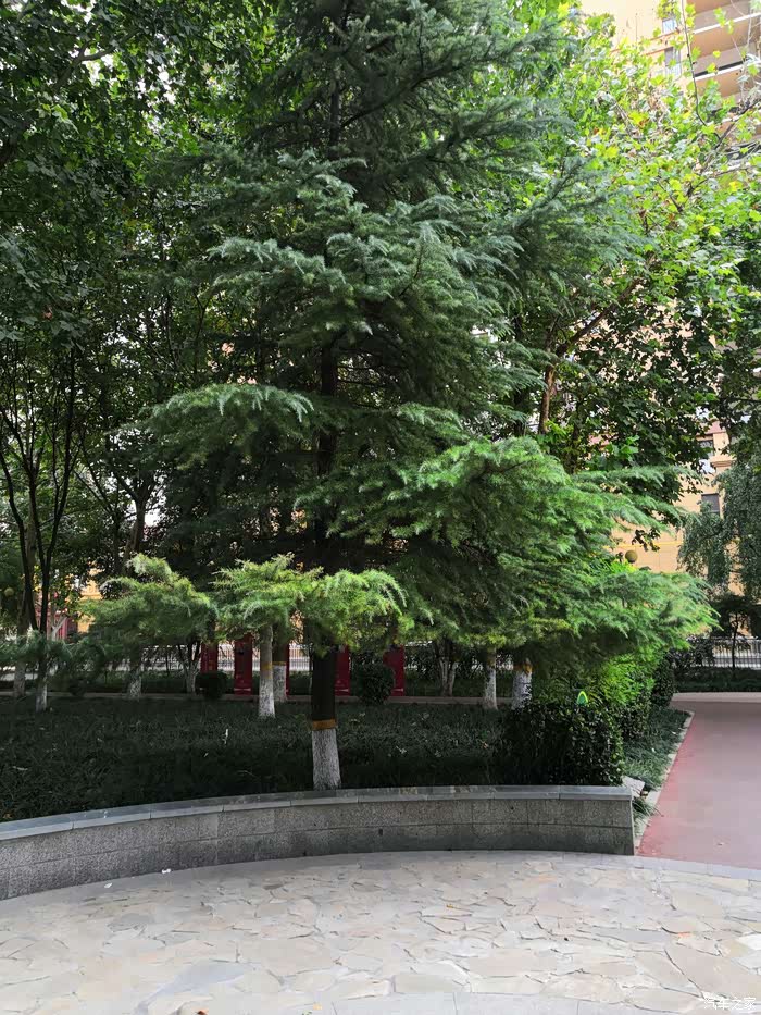 【雪域英雄战队】薇波公园游园15