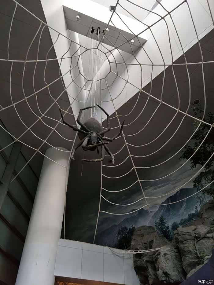 参观上海科技馆