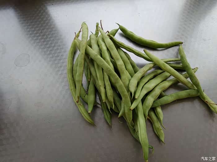 支持江西论坛美食分享豆角烩牛肉