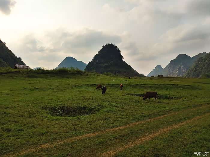 早春踏青更望湖露营