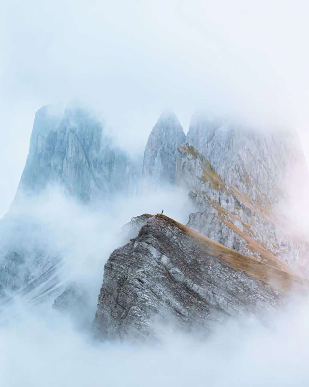 不畏浮云遮望眼,唯迎灿阳浴满身!