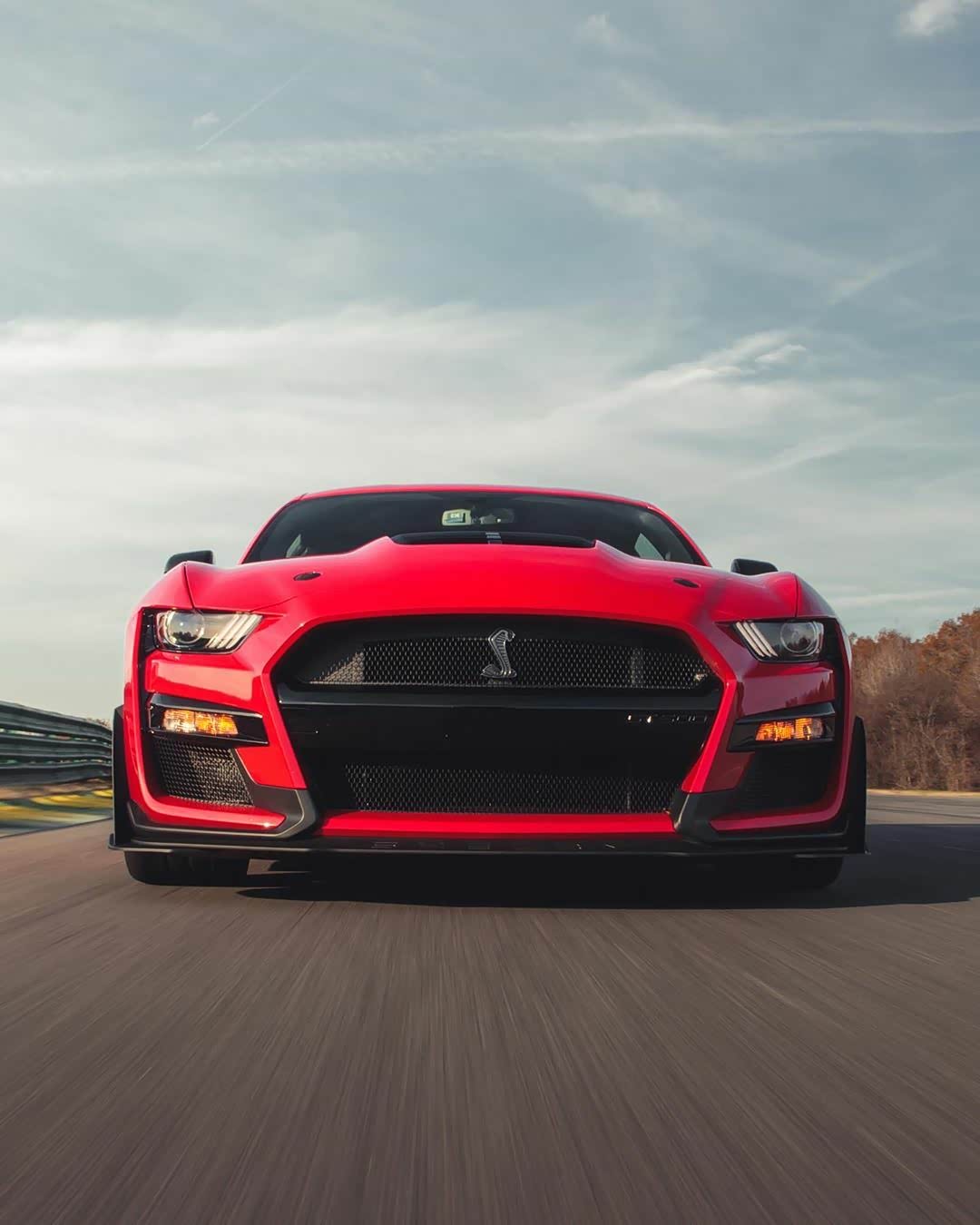 福特野马shelby gt500