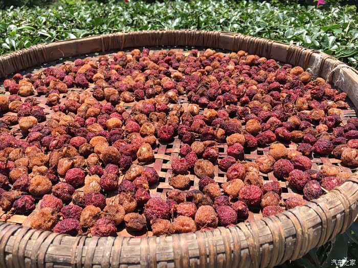 村民晒着的杨梅干.又是一道美味