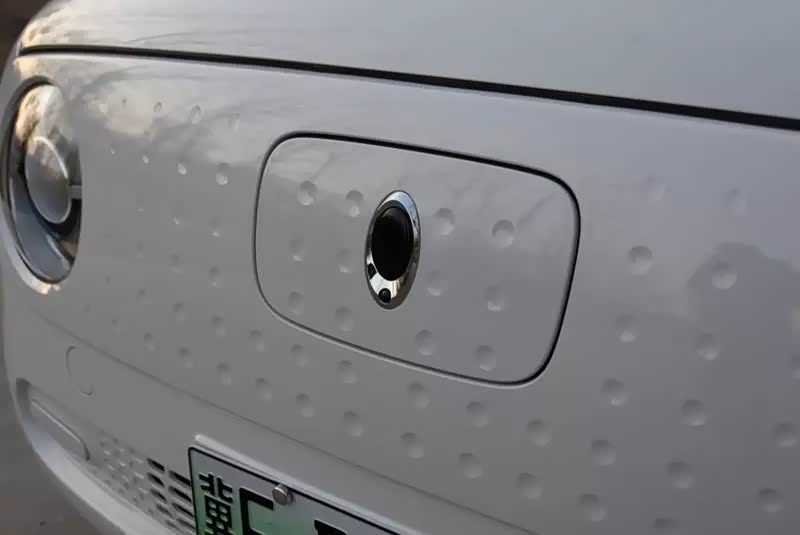 小了白了兔白了又了白