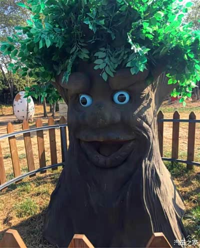 临走时朋友说,给这颗大树拍个照片吧,笑的真开心.