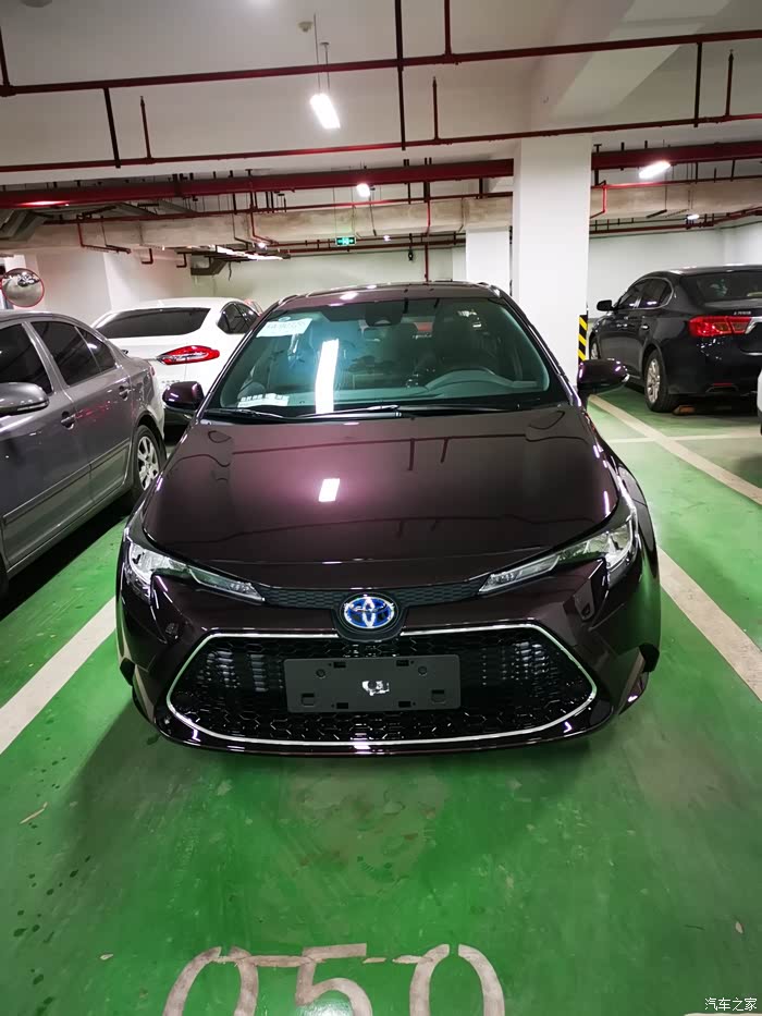 星云紫大家觉得怎么样