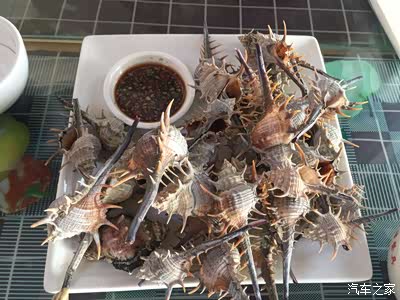 刺骨螺    奇外观才买花20元买便宜但吃建议家买