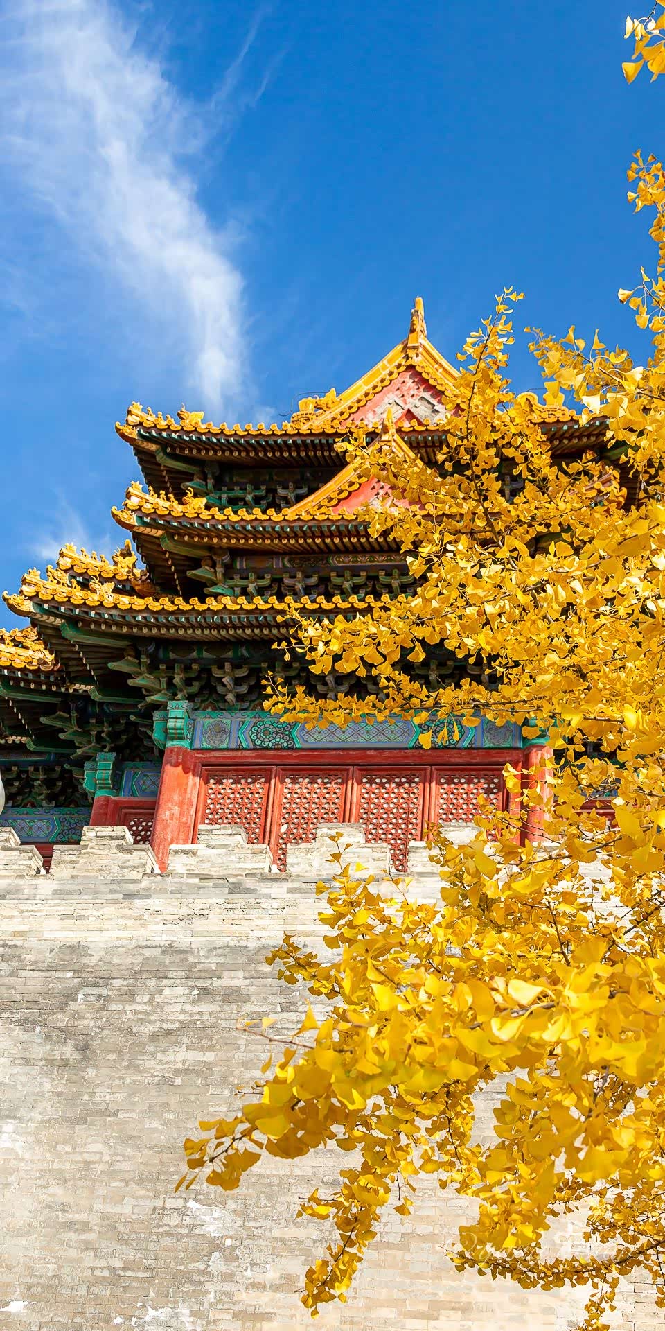 2020古建秋色故宫角楼银杏叶