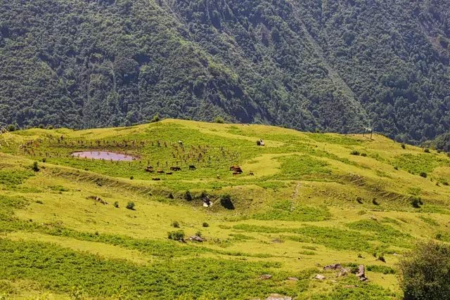 一起来卓西牧场,解放心灵,亲近大自然.