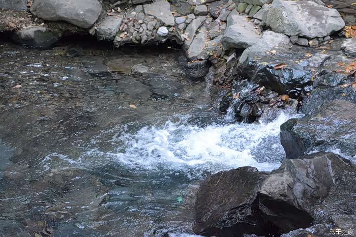 临安行一品西湖龙井
