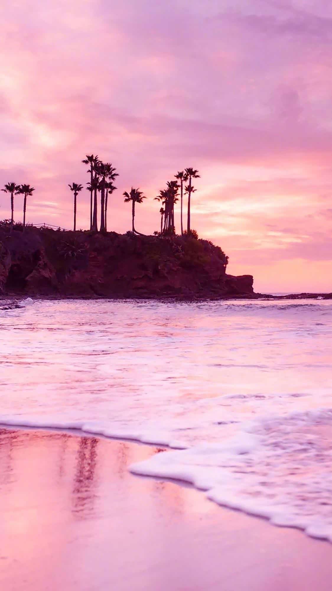 蔚蓝大海粉色天空,那是无尽的温柔