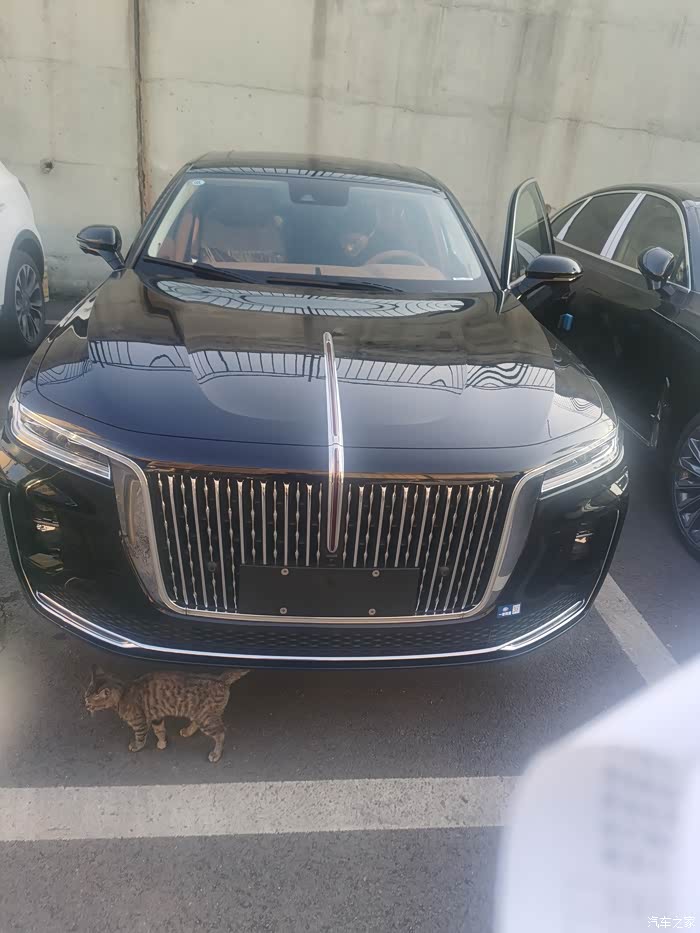 红旗h9心中的最爱车衣记