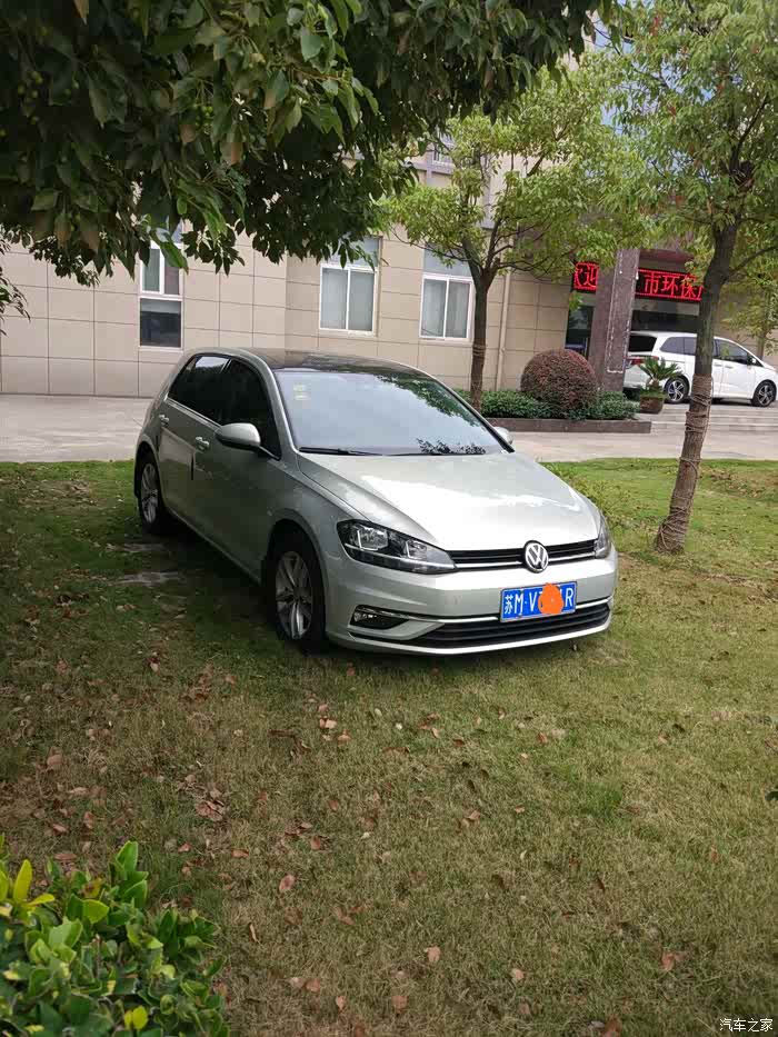 【图】凯撒金好看吗?_高尔夫论坛_汽车之家论坛