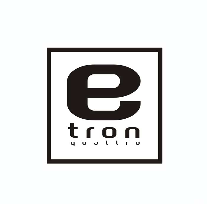 客串试车手有实力有态度德国之后再遇奥迪新能源etron
