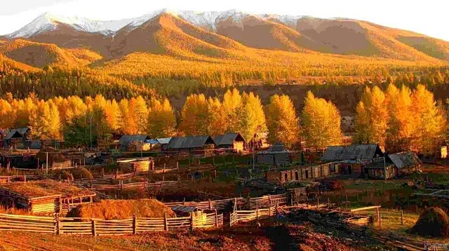 新疆禾木村秋天中国最美的童话小镇美的梦幻且静谧