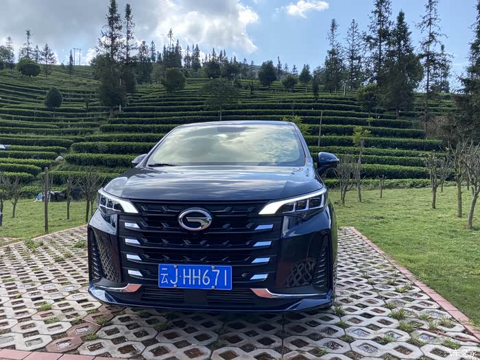 我买的孔雀蓝,在自然光下面真的好看,今天带老人小孩来看一下茶山