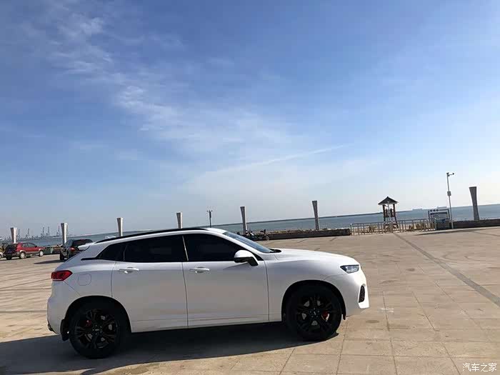 【无悔的抉择】一路相随,感谢有你相伴WEY--