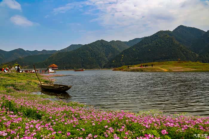 人车生活#永州三圣湖,风中翘摇等你来,春天里的约会!