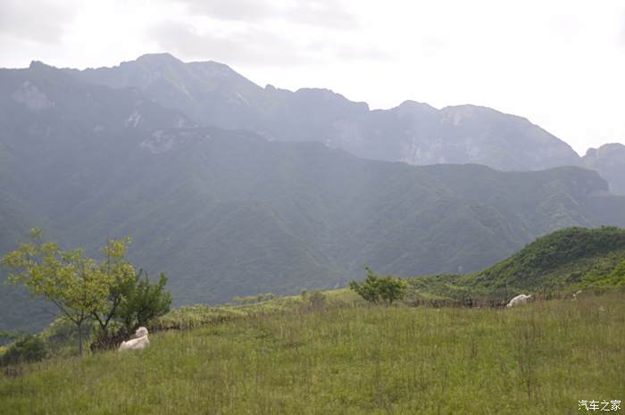 陝西奇駿大隊駿行自駕聯盟自駕流峪草甸野炊大盤雞高山草甸