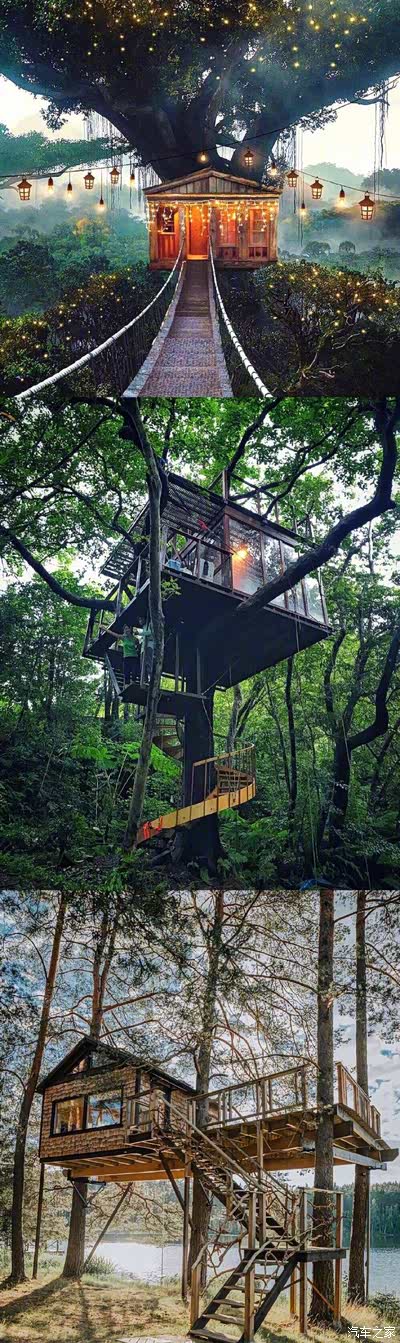 童话里的森林小屋,它孤独的坐落在林中,你愿意带上你的爱人._宝斯通论