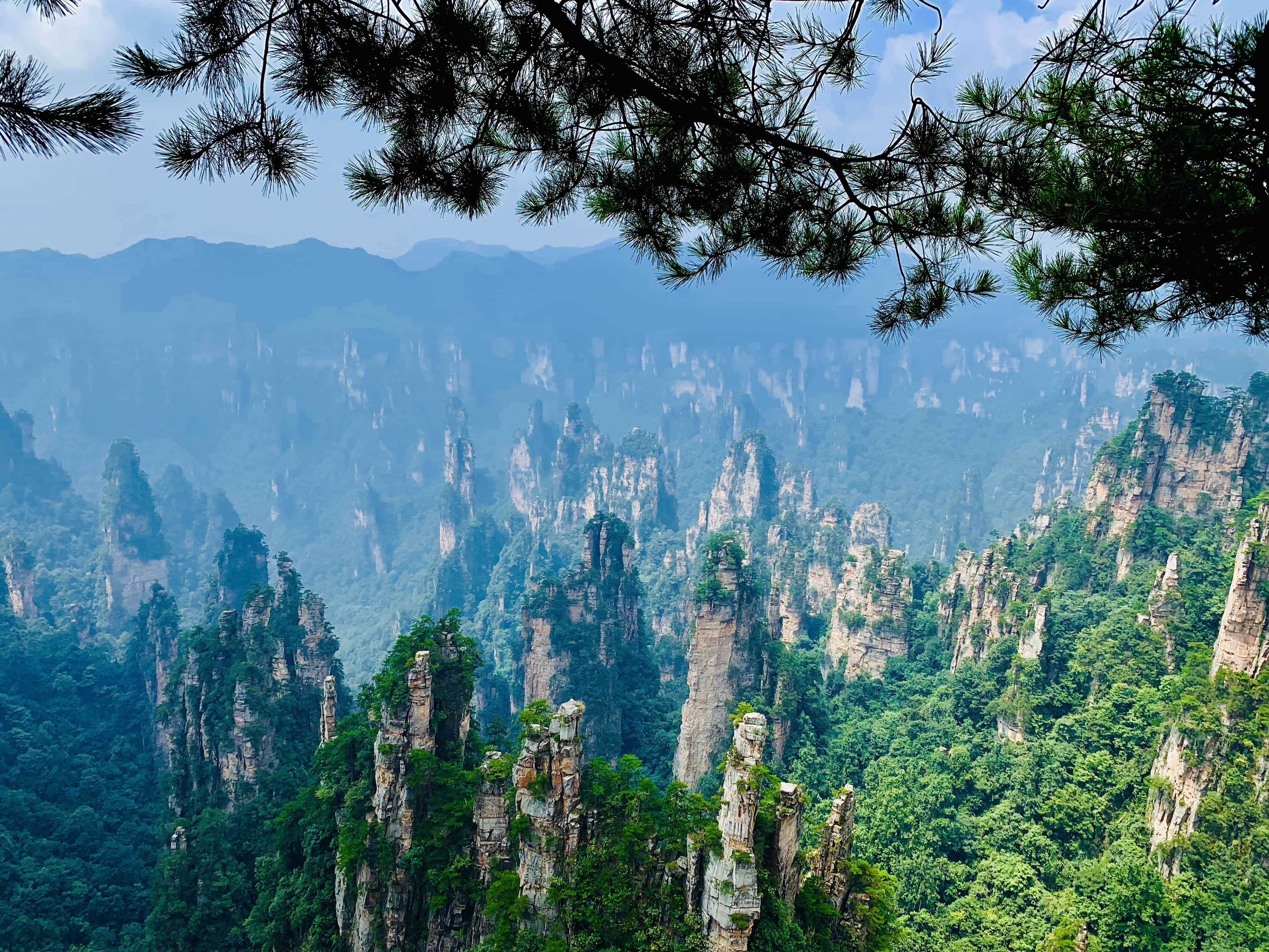 《40天环游半个中国》第七篇章&麻辣重庆,魔幻张家界