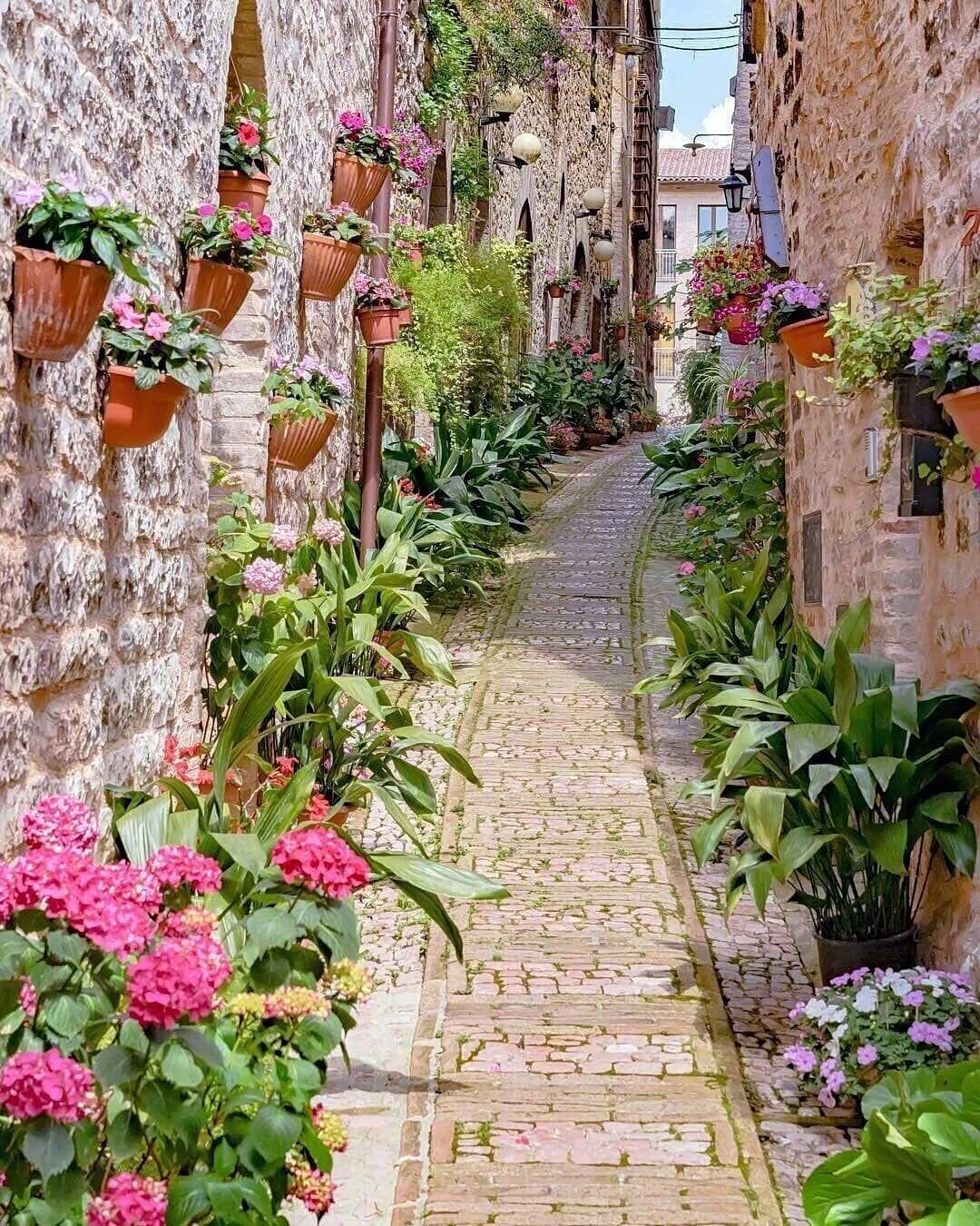 意大利鲜花小镇斯佩罗一个将石头与鲜花两样一坚一柔的