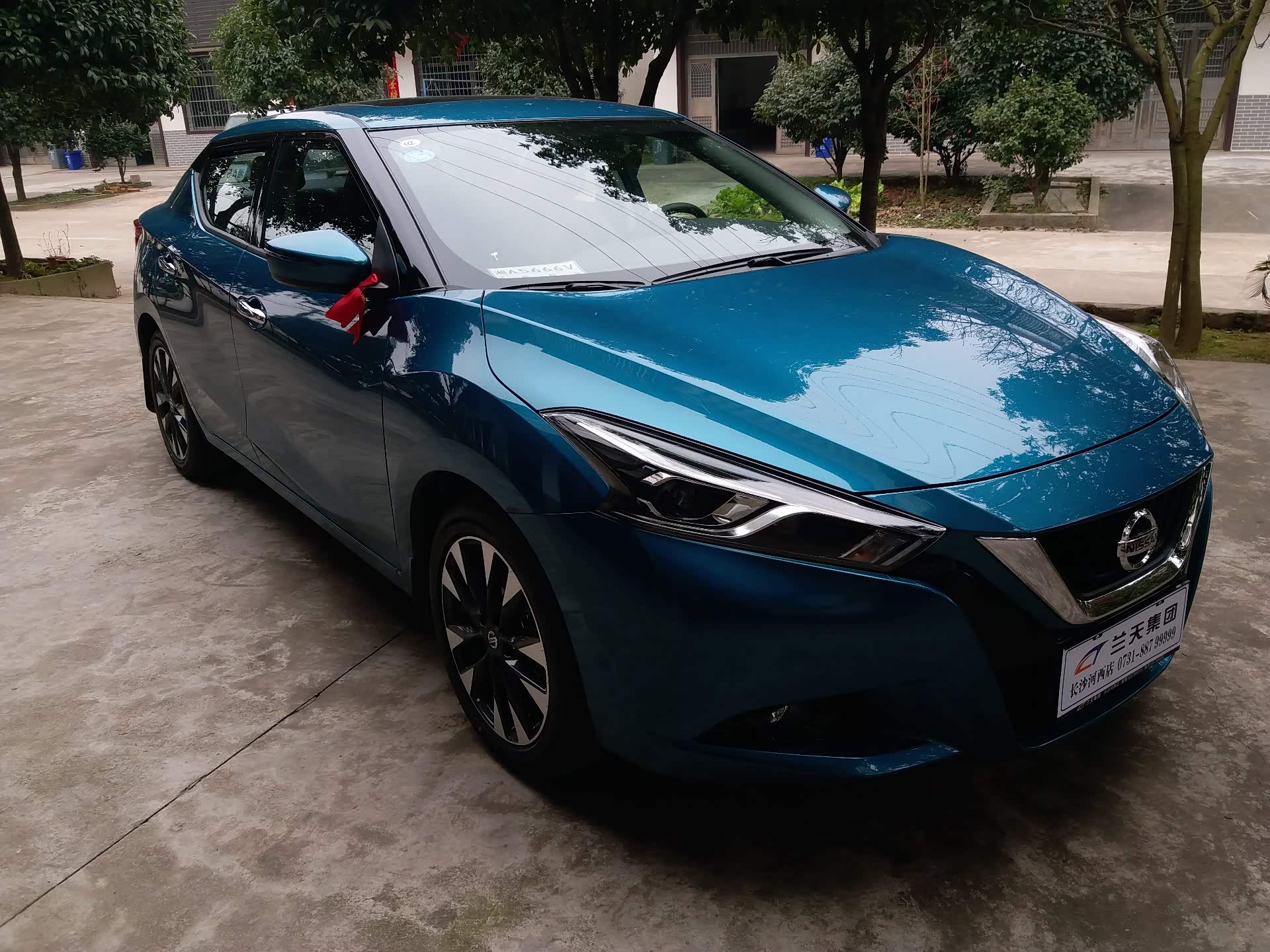 15 蓝鸟论坛 各位车友,蓝鸟19款,哪个颜色好看啊, 10楼发表于 2019-3