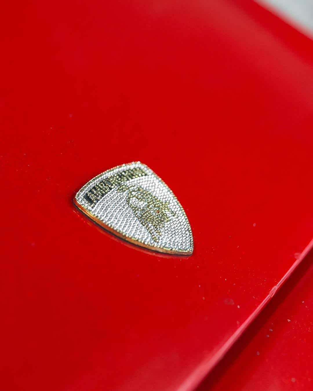 钻石版的车标看着就豪气