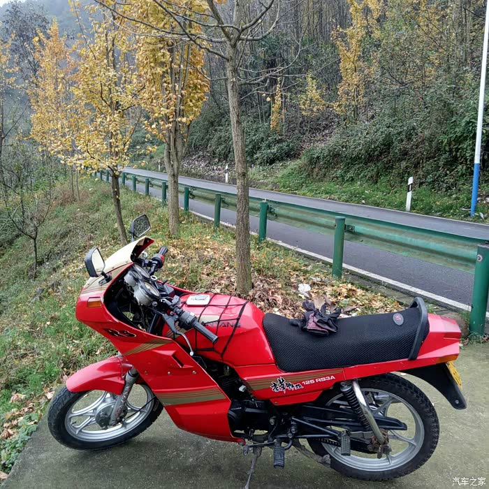 我的豪华野狼复新记