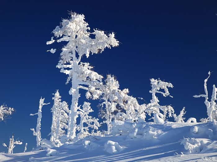 大兴安岭莫尔道嘎国家森林公园的雪景,异常美丽.